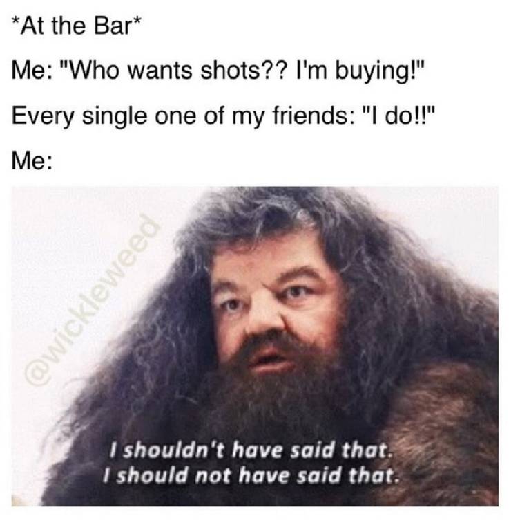Harry Potter 10 Hilarious Hagrid Logic Memes That Are Too Funny Harry Potter 10 Hilarious Hagrid Logic Memes That Are Too Funny